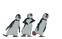 pinguis.gif (44207 bytes)